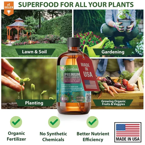 Vista 2 de GARDENERA Superalimento orgánico prémium de algas marinas y algas marinas para plantas AGLAONEMA, 8 onzas, concentrado de fertilizante líquido