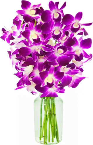 Vista 10 de KaBloom - Ramo de orquídeas exóticas de zafiro de 10 orquídeas azules con jarrón - Flores frescas para cumpleaños, San Valentín y Día de la Madre