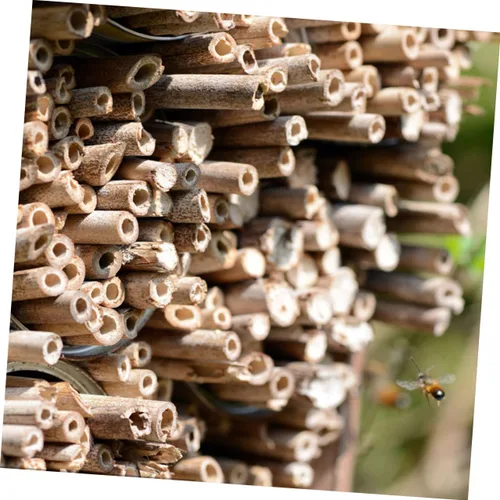 Vista 2 de Tubos de abeja de caña natural, 20 piezas, insertos de repuesto, suministros de apicultura para Bee House DIY