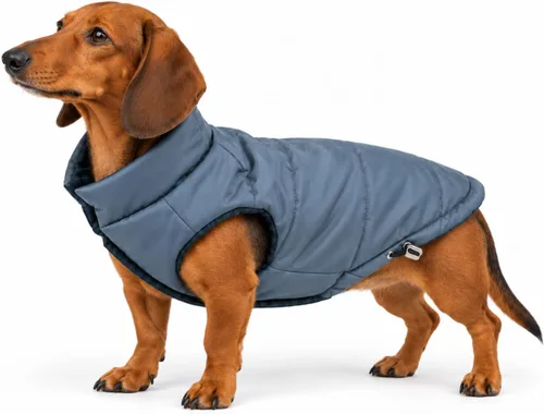 Vista 17 de DJANGO Abrigo de invierno reversible para perros con acolchado – Chaqueta de invierno cálida para perros y abrigo aislante repelente al agua