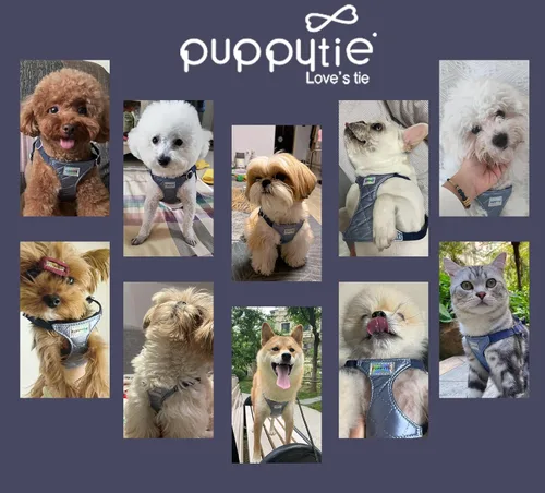 Vista 36 de Arnés sin tirones para perro, con correa multifunción, pechera suave y ajustable para mascota, no ahorca, chaleco a prueba de escape para perros