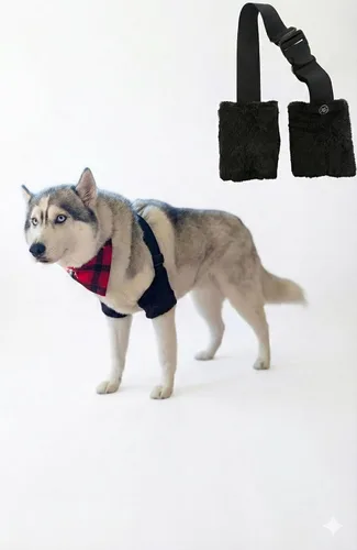 Miller Eclipse - Coderas reforzadas para perros grandes y extra grandes, elásticas, ajustables, para aliviar el higroma, para aliviar dolores de