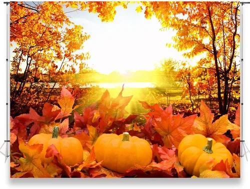 7x5ft Pumpkin Background Autumn Maple Forest Photography Backdrop for Harvest Party Banner Decor Portrait Photobooth Studio Props KUBYC564