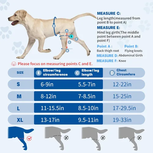 Vista 7 de Rodillera para perro para pierna trasera desgarrada, rodillera universal para perro para cuatro patas, alivia lesiones de ligamentos, soporte