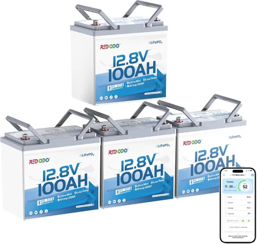 Vista 23 de Redodo - Batería de ciclos profundos LiFePO4 de 12 V y 100 Ah