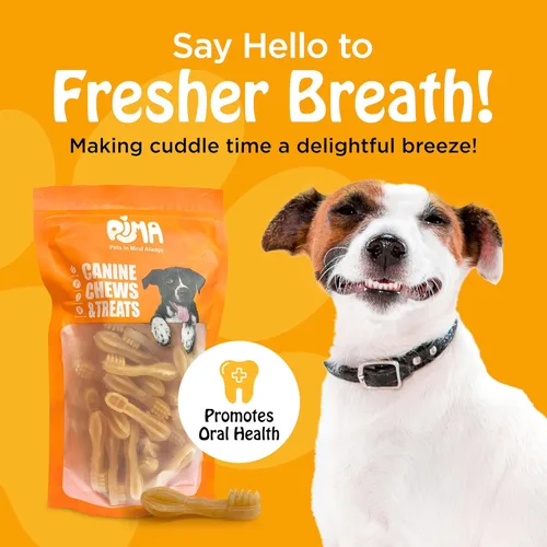 Vista 2 de PIMA - Golosinas dentales con queso para perros, golosinas dentales de queso de yak para perros, limpieza natural de dientes de perro masticable