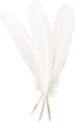 Vista 11 de 50 plumas negras de 10 a 12 pulgadas de largo, hermosas plumas a granel para manualidades (10.2-12.2 in), pluma de ganso natural bilateral de gran