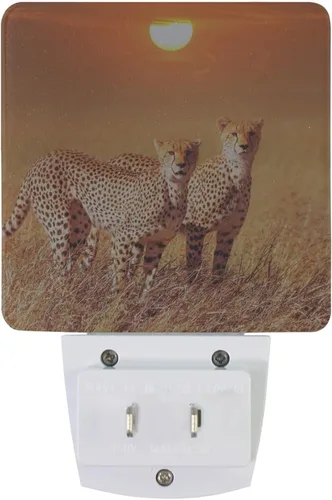Vista 2 de Lámpara LED de luz nocturna enchufable con dos guepardos con sensor de anochecer a amanecer para dormitorio, baño, pasillo, escaleras, paquete de 2