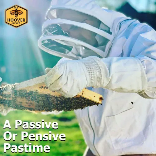 Vista 3 de Hoover Hives 8 marcos de colmena Langstroth sumergido en cera de abeja 100% incluye marcos de madera y bases enceradas