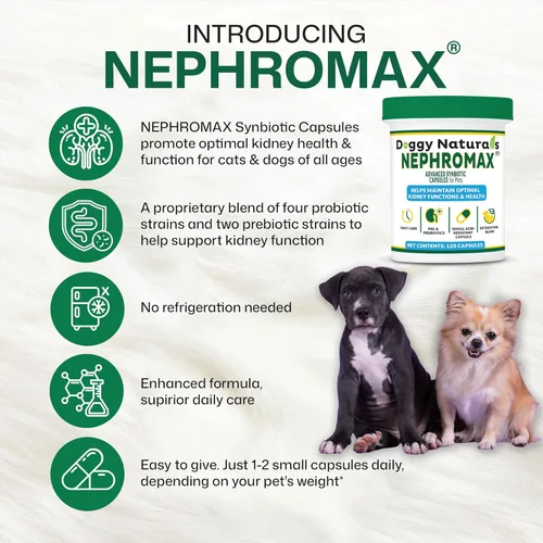 Vista 9 de Cápsulas Synbiotic para perros y gatos (240 cápsulas), suplemento de apoyo renal para gatos y perros, probióticos y prebióticos para la salud