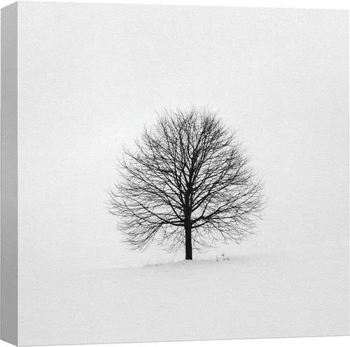 Vista 32 de Lienzo de paisaje hermoso para decorar la pared, arte moderno, para el hogar Amor al rojo vivo