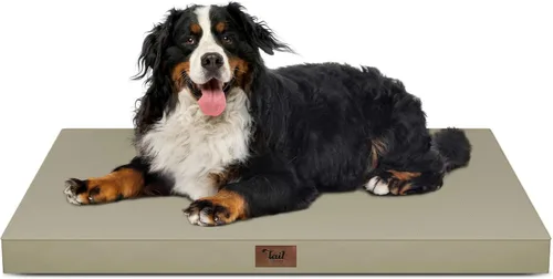 Vista 23 de Cama para perros y gatos pequeños, impermeable, para jaula de huevos, espuma ortopédica con funda Oxford lavable y extraíble, color verde Amy