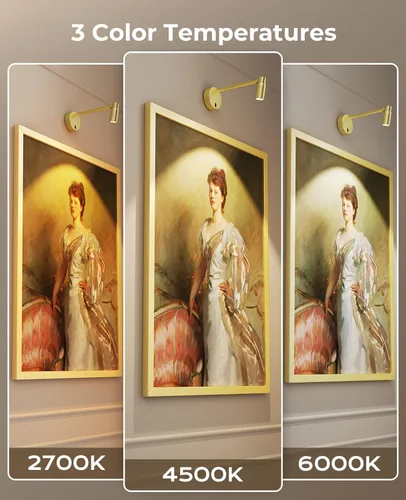 Vista 4 de Luz de imagen con zoom para pared, funciona con pilas, luz de arte para pinturas, foco regulable CCT para arte de pared, luz de pared con control