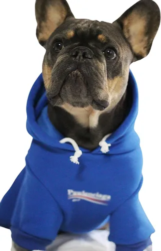 Vista 10 de ChoChoCho Sudadera con capucha y suéter para perros – Elegante ropa urbana de algodón para gatos y cachorros en gris – S, M, L