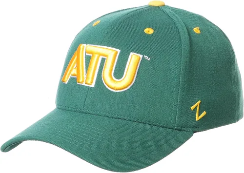 Vista 77 de ZHATS - Sombrero ajustado elástico para hombre de la NCAA, color del