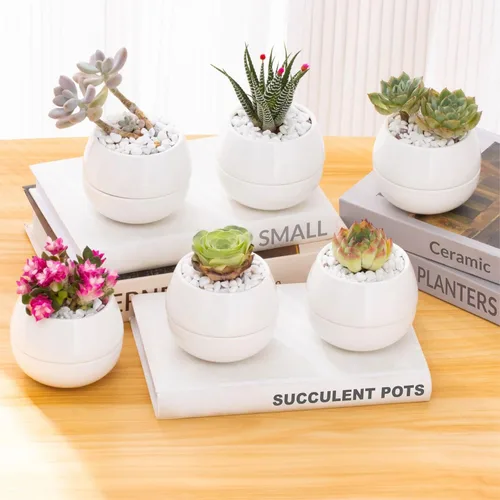 Vista 7 de Maceta Willowy Pequeña para Suculentas (1 Paquete) - Macetas para Suculentas con Bandeja de Drenaje - Macetas de Cerámica, Macetas