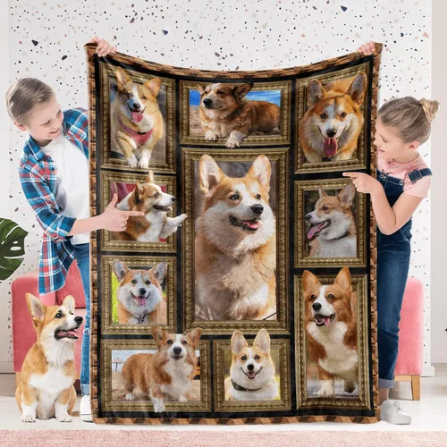 Corgi Kids - Manta suave y mullida de 40 x 50 pulgadas, multicolor, microfibra, patrón de animales, moderna, ligera, lavable a máquina