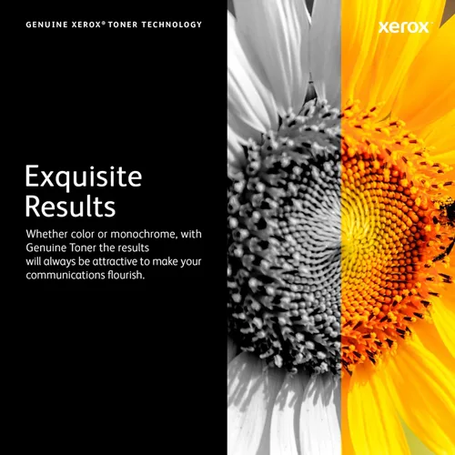 Vista 9 de Xerox Phaser 6510/Workcentre 6515 - Cartucho de tóner cian de capacidad extra alta (4.300 páginas) - 106R03690