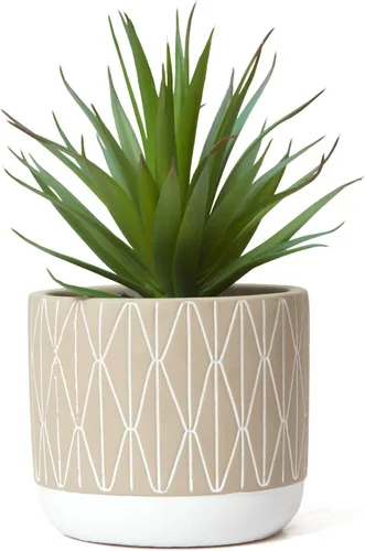 Kurrajong Farmhouse Suculenta sintética realista en maceta, planta falsa de 8 pulgadas para el hogar, decoración de escritorio de oficina o perfecta