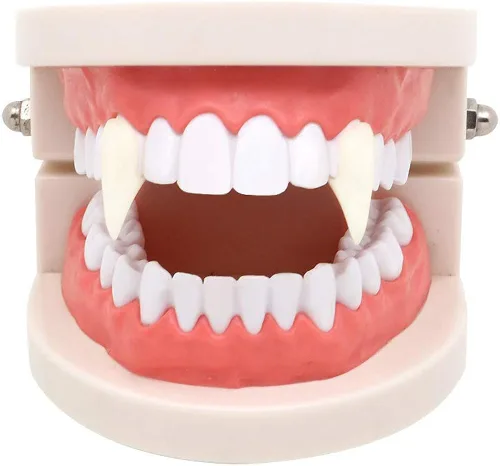 Vista 4 de AIYAYI Gargantilla de fiesta de Halloween con 3 pares de colmillos de dientes de vampiro S Resina