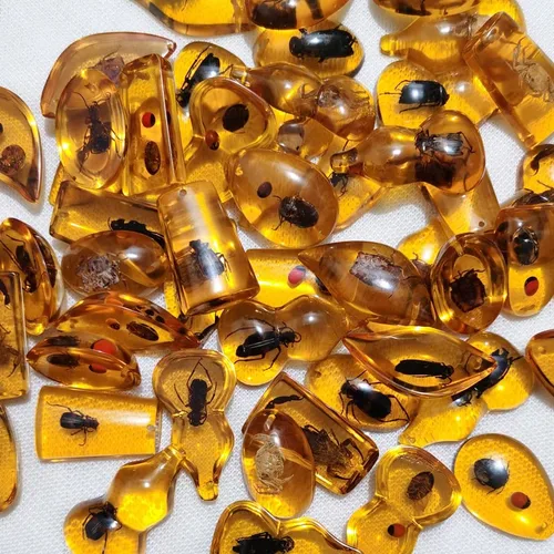 Vista 5 de Múltiples fósiles de ámbar de insectos Psc, colgantes fósiles de ámbar luminosos, colecciones de ámbar educativas y científicas (12 unidades)