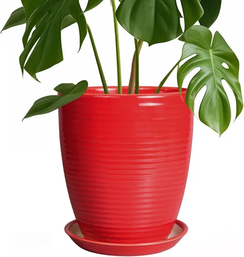 Vista 39 de Macetas de cerámica de 6 pulgadas para plantas, macetas de cerámica con orificio de drenaje y platillo, maceta para plantas de interior, maceta