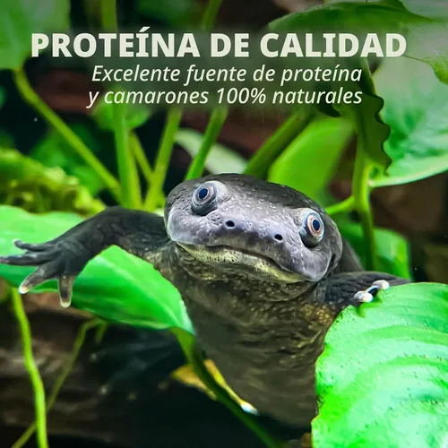 Vista 7 de Tetra TetraFauna Reptomin Gammarus Baby Gambas Treat, 6
