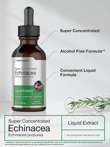 Vista 4 de Horbaach Echinacea Drops - Tintura de hierbas 2 onzas líquidas Extracto de raíz súper concentrado Líquido sin alcohol Suplemento