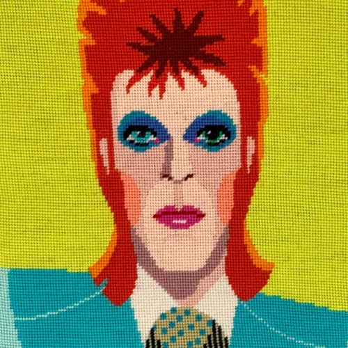 HM NABAVIAN Appletons - Kit de punto de aguja de lana - Rango de retratos - David Bowie diseñado por Emily Peacock