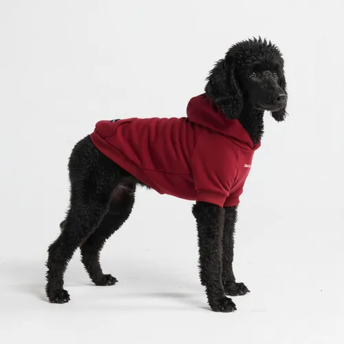 Vista 96 de Spark Paws Sudadera con capucha para perro, suéter de primera calidad para perros pequeños, medianos y grandes Trajes cálidos para bulldogs