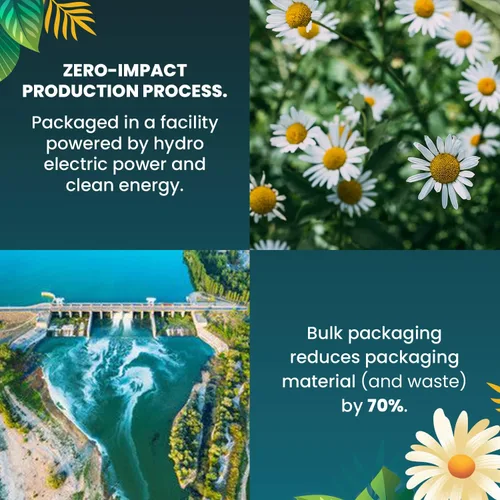 Vista 5 de Cederberg Tea Company Té orgánico de manzanilla — 30 bolsas de té Té de hierbas orgánicas de origen único Bolsas de té ecológicas Té sin