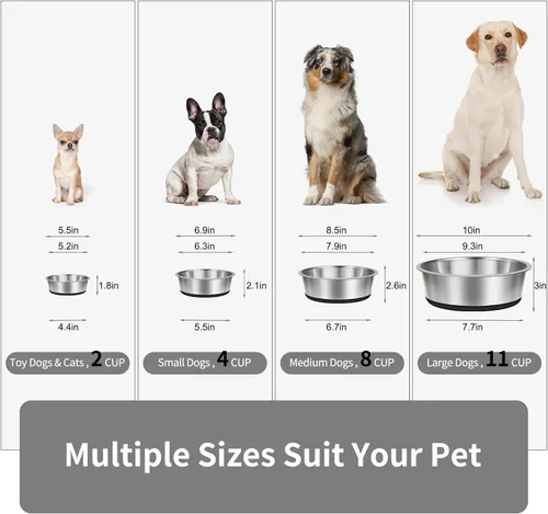 Vista 2 de Taglory Juego de 2 tazones de acero inoxidable para perros de 2 tazas para comida y agua, base de silicona antideslizante, resistente a