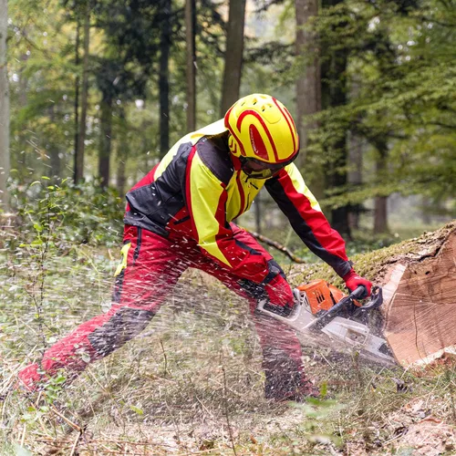 Vista 3 de Protos GmbH Casco Integral Arborist - Hi-Viz Amarillo y Carbono