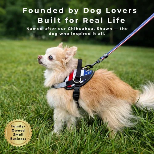 Vista 9 de ShawnCo Arnés esencial para perro, chaleco sin tirones para mascotas con 3 clips de correa, sin estrangulamiento, reflectante, ajustable