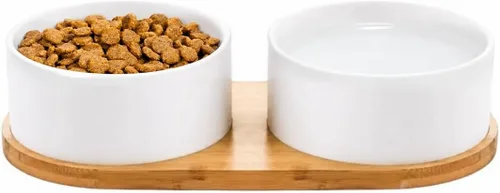 Juego de 2 platos de cerámica para perros y gatos pequeños con bandeja de