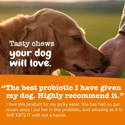 Vista 6 de Zesty Paws Probióticos para perros – Enzimas digestivas para la flora intestinal, salud digestiva, diarrea y apoyo intestinal – Clínicamente