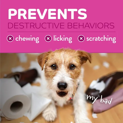 Vista 4 de TropiClean Spray sin masticar para perros, mejor que el spray de manzana amarga, masticar seguro y natural + disuasorio de lamer, protege el hogar