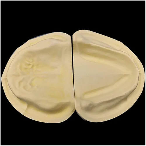 Vista 5 de Modelo dental oral - Modelo de dientes de yeso - Modelo de dientes de yeso súper duro y de alto relleno para enseñanza dental 2 piezas