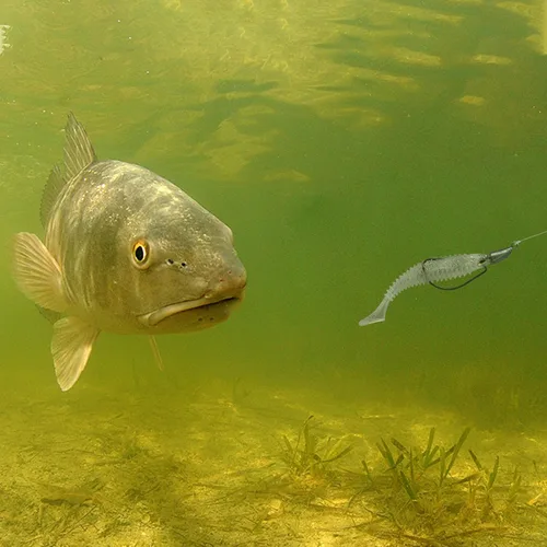 Vista 5 de MAFIMOEA - Cabezas de plantilla de bala con peso de Texas Rig Hooks Swimbait Hooks Bass Crappie Walleye Trucha Pesca sin malas hierbas Swimbait Jig