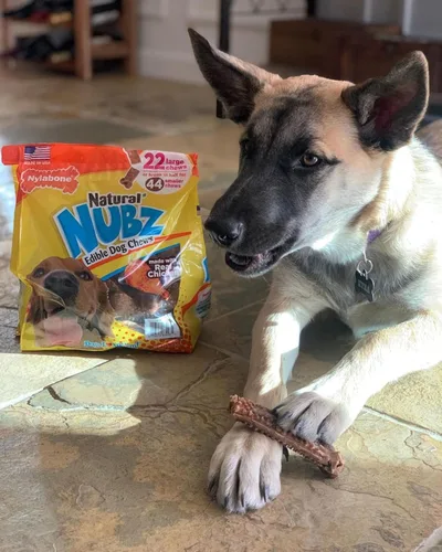 Vista 4 de Nylabone Nubz - Golosinas naturales para perros hechas con pollo real