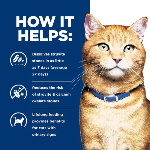 Vista 8 de Comida seca para gatos Hill's Prescription Diet c/d Multicare Urinary Care sabor a pescado del océano, dieta veterinaria, bolsa de 17.6 lb