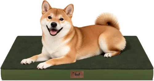 Vista 108 de Cama para perros y gatos pequeños, impermeable, para jaula de huevos, espuma ortopédica con funda Oxford lavable y extraíble, color verde Amy