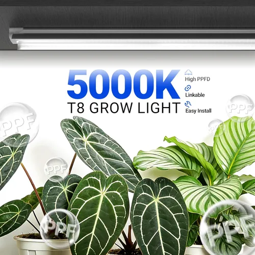 Vista 6 de Barrina Luces de Crecimiento, Lámparas de Crecimiento de Plantas de Espectro Completo Blancas de 2FT 5000K, 144W (6 x 24W, Equivalente a 800W)