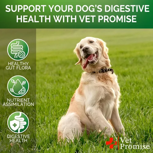 Vista 4 de Probióticos para perros – Probióticos para perros y enzimas digestivas para la salud intestinal, picazón en la piel, alergias, inmunidad, equilibrio
