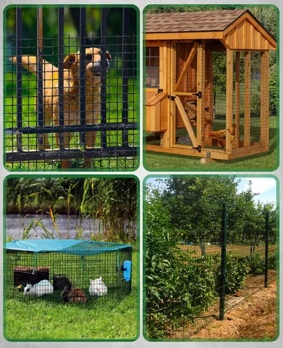 Vista 6 de GoldPeak Black Hardware Cloth Malla de 1 pulgada 36'' x 50' calibre 17, rollo de malla de alambre de pollo con revestimiento de vinilo, cercado