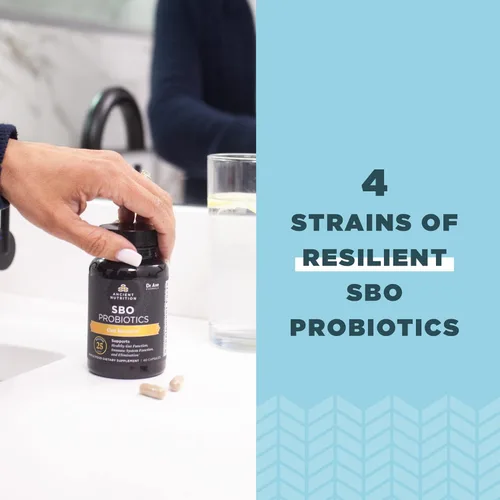 Vista 4 de Ancient Nutrition Probióticos, probióticos SBO Restauración intestinal de 60 unidades, promueve la salud intestinal, el apoyo digestivo e