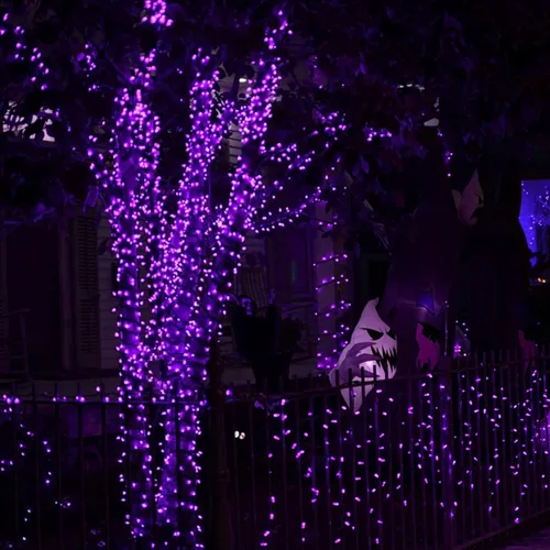 Vista 3 de Dazzle Bright - Guirnalda de luces de hadas de Halloween, 60 luces LED de 20 pies de alambre de cobre a batería y resistente al agua, decoraciones