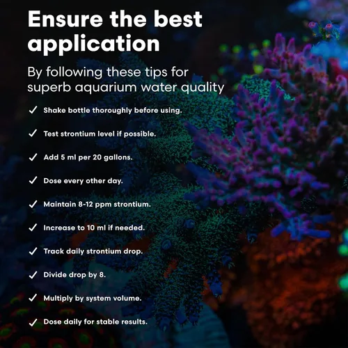 Vista 6 de Brightwell Aquatics Strontion - Suplemento de estroncio iónico de alta resistencia para acuarios de arrecife que apoya el crecimiento esquelético