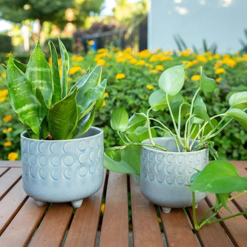 Vista 3 de Flora Bunda - Juego de 2 macetas de cerámica con pies (6.0 pulgadas y 4.75 pulgadas), color blanco mate.