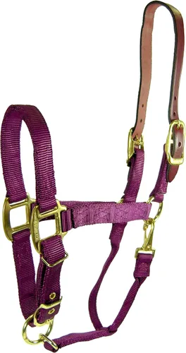 Vista 11 de Hamilton Cabestro ajustable de nailon de 1 pulgada con cabeza de cuero y broche de garganta, grande, negro